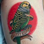Tattoos - Pretty bird - 146069