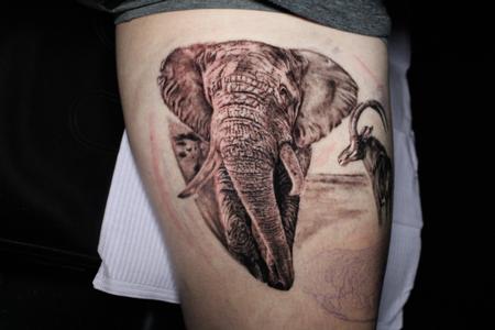 Tattoos - Elephant - 141113