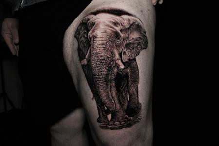 Tattoos - Elephant - 141447