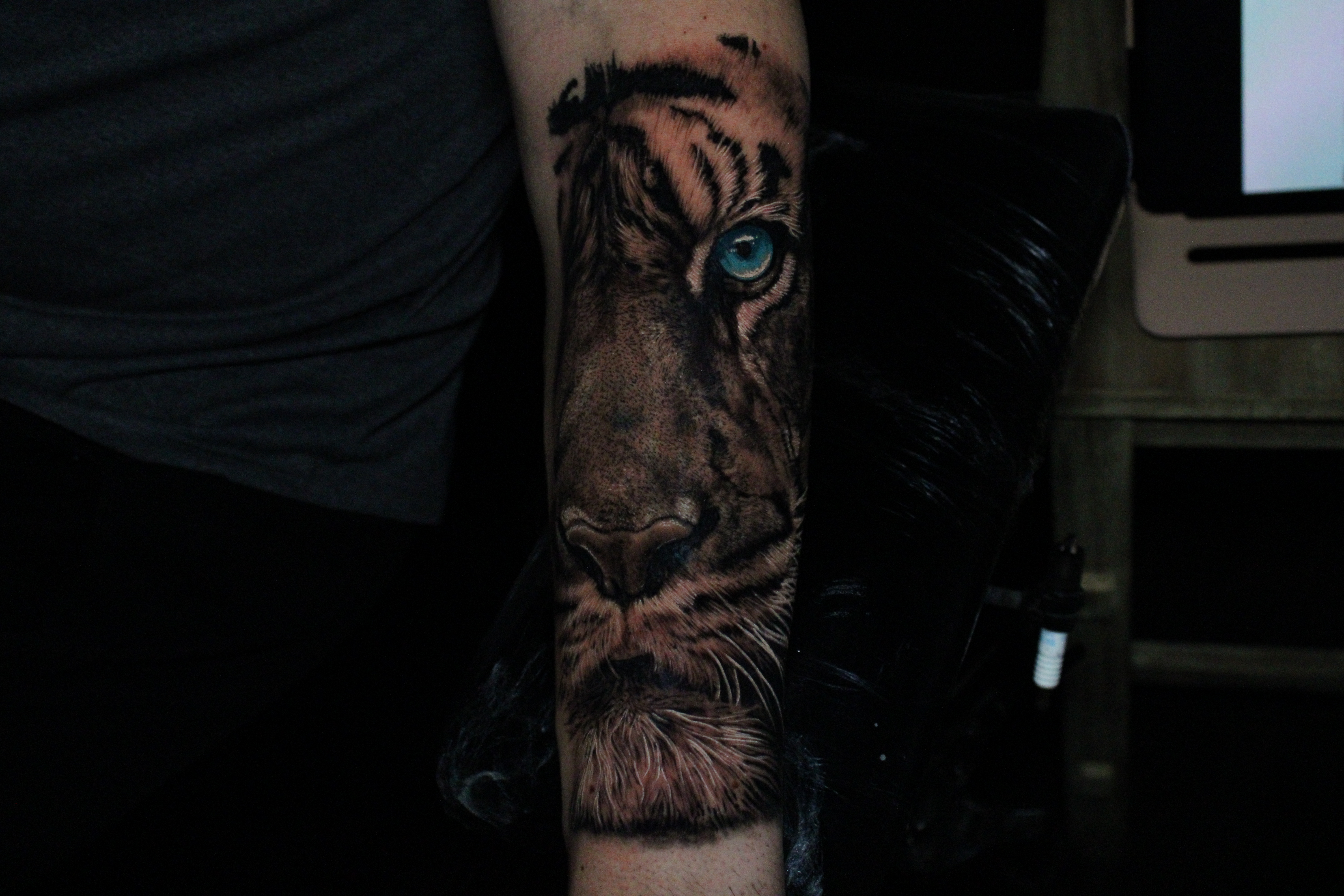 Tattoos - Tiger - 141812