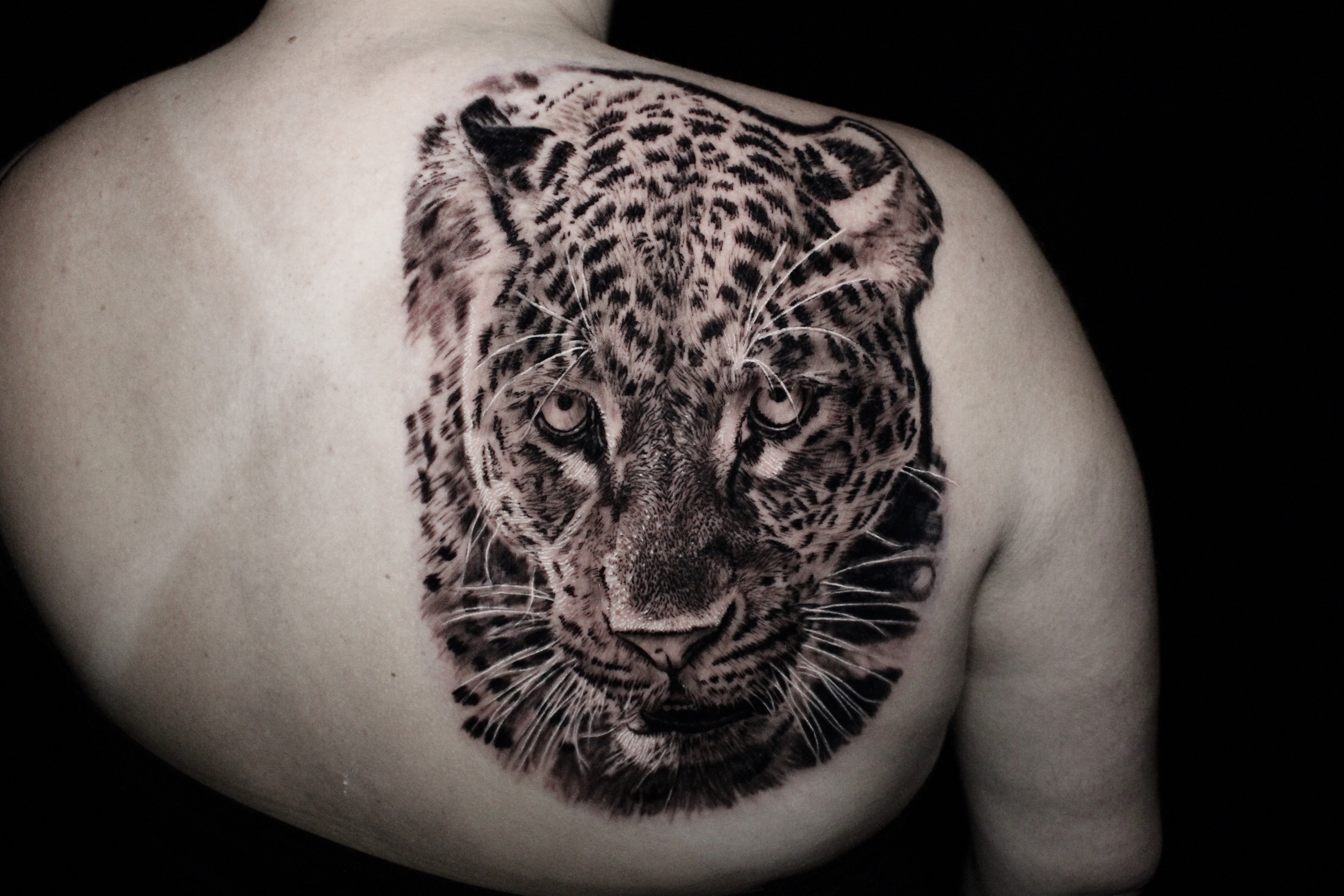 Tattoos - Leopard - 141457