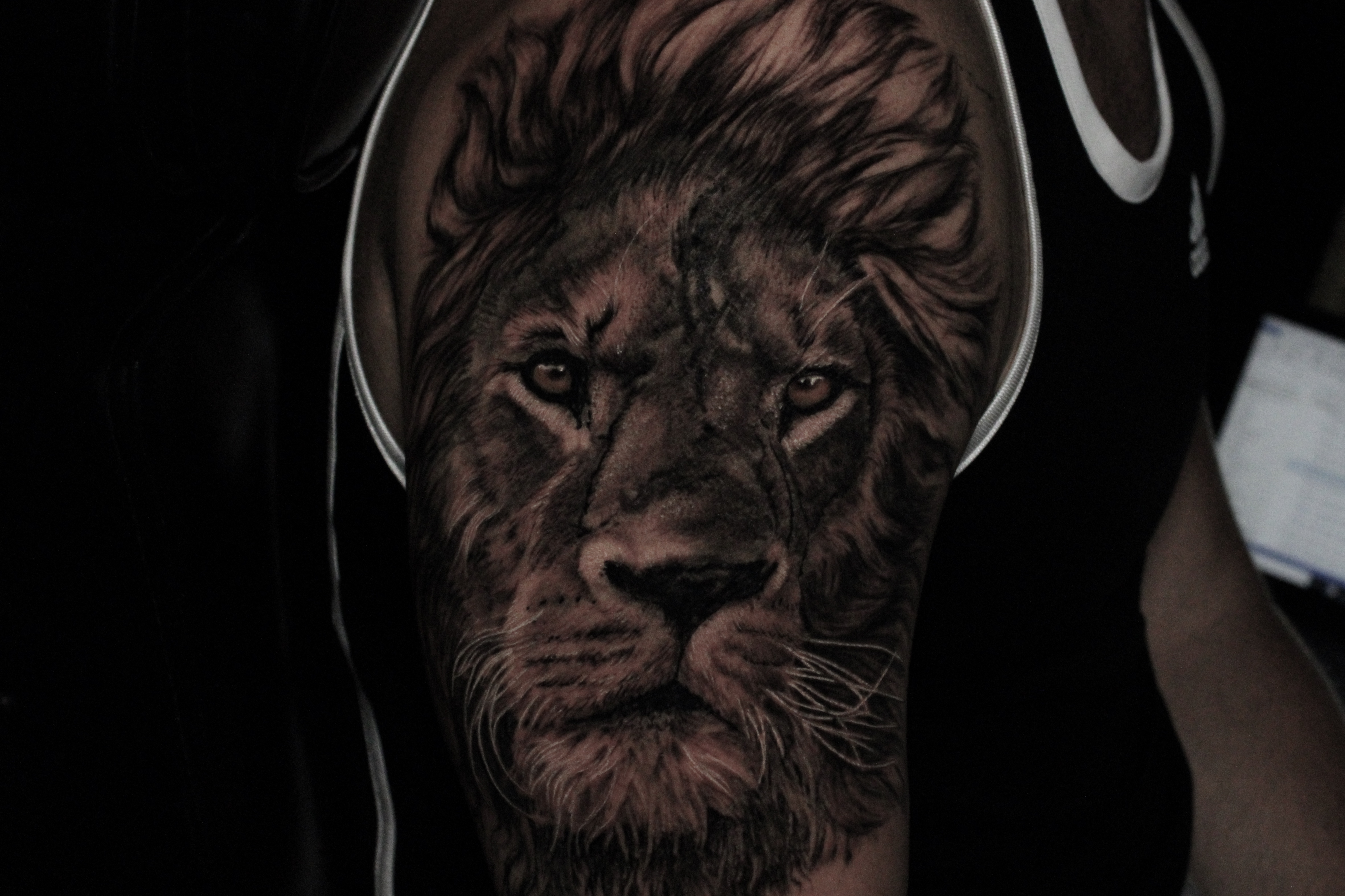 Tattoos - Lion - 141811