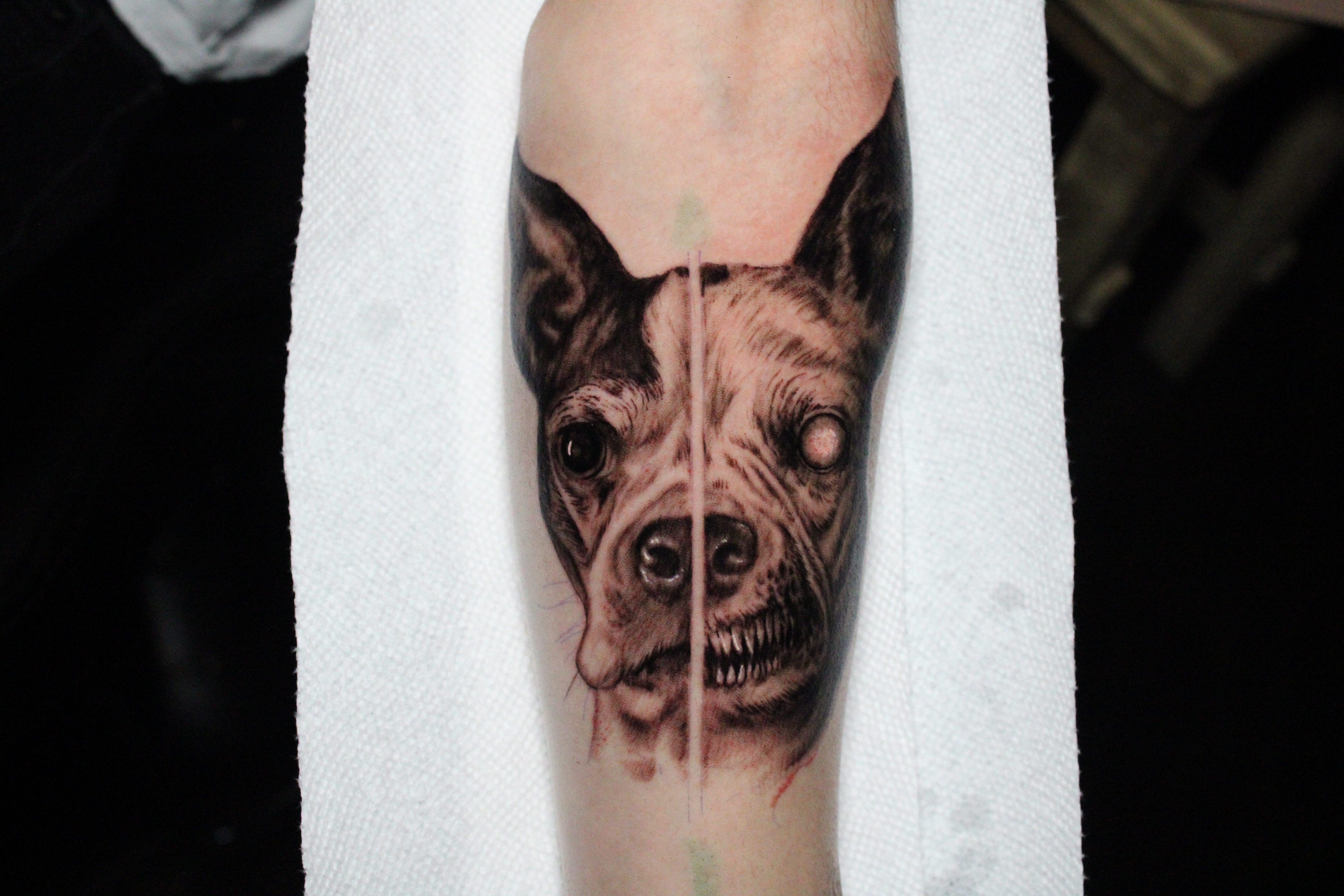 Tattoos - Evil dog - 141710