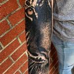 Tattoos - Tiger - 139304