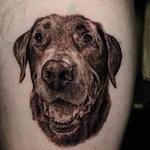 Tattoos - Dog - 141711