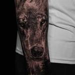 Tattoos - Wolf - 141526