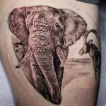 Tattoos - Elephant - 141113