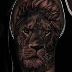 Prints-For-Sale - Lion - 141811